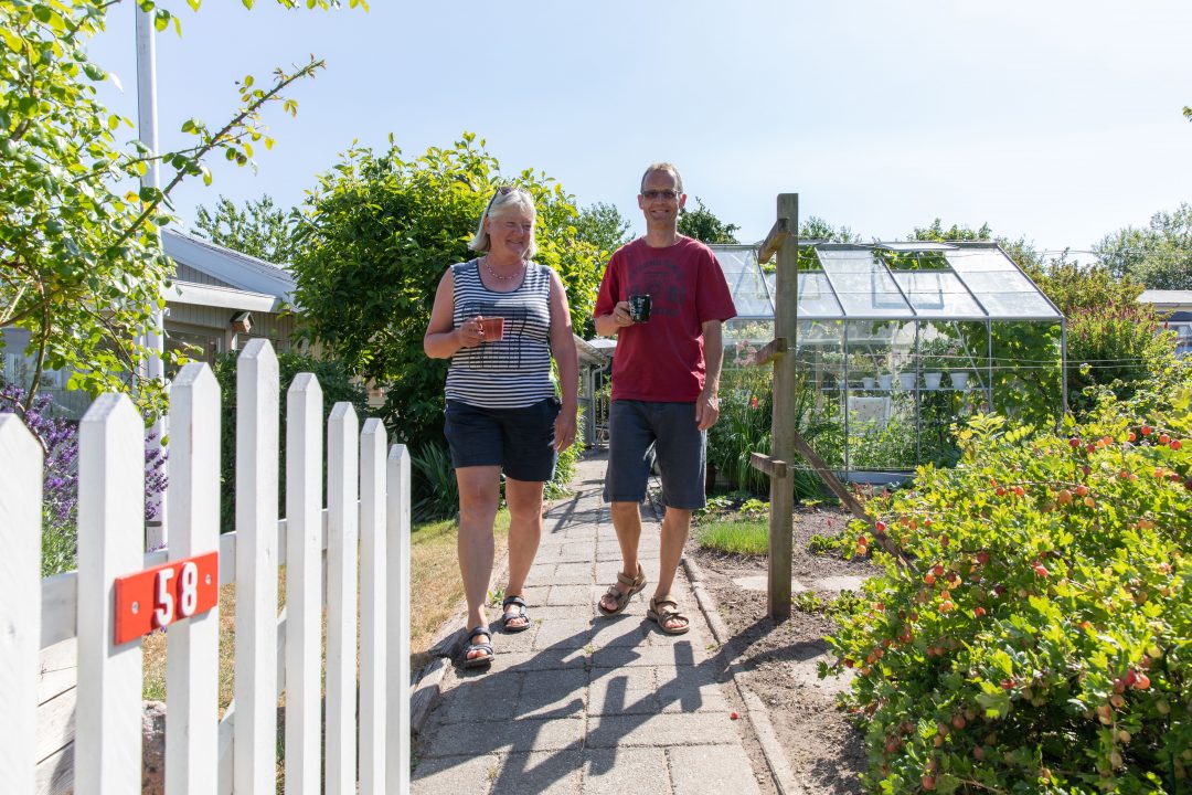 Kvinde, mand, sommer, kolonihave