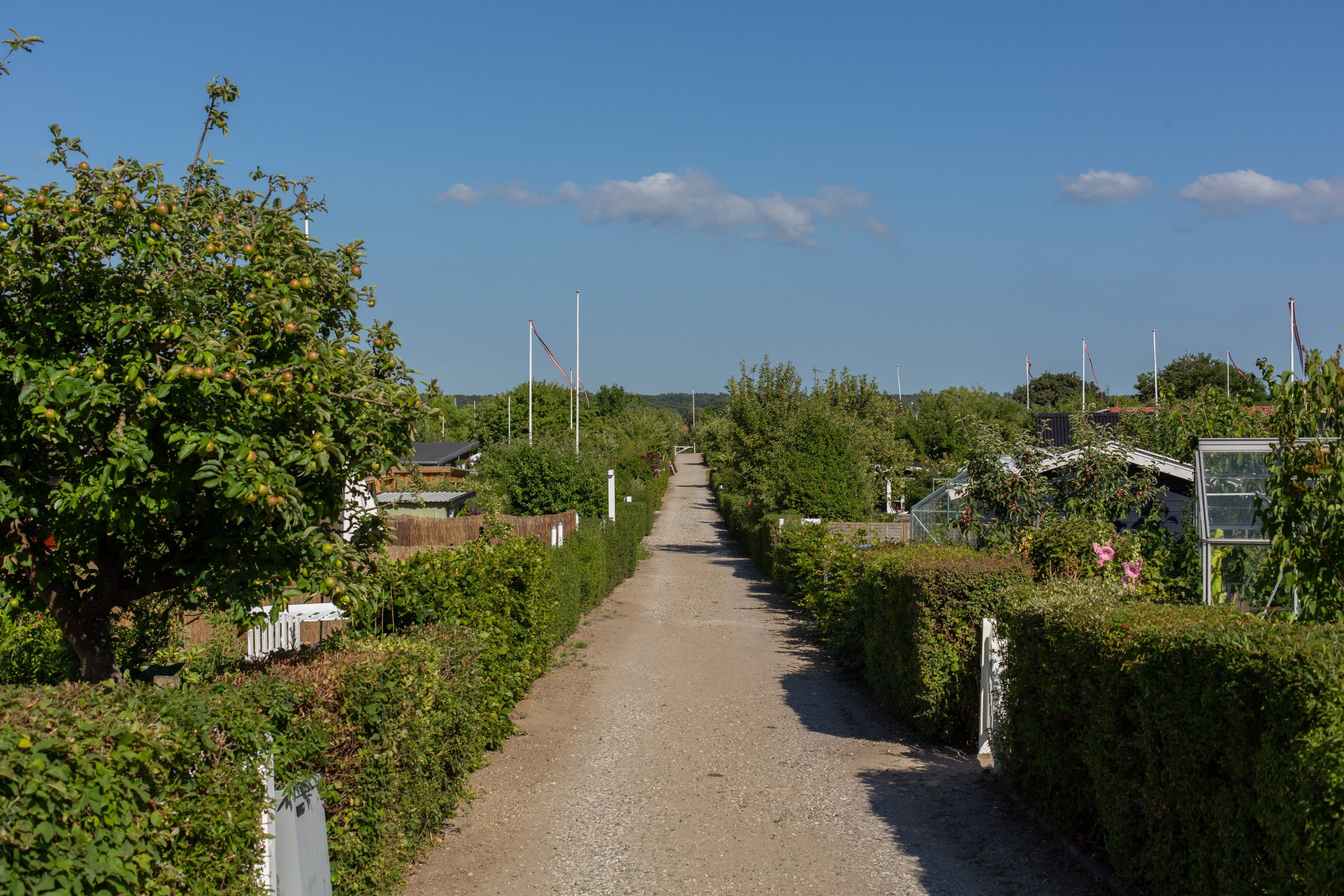 Havegang, sti, kolonihaver