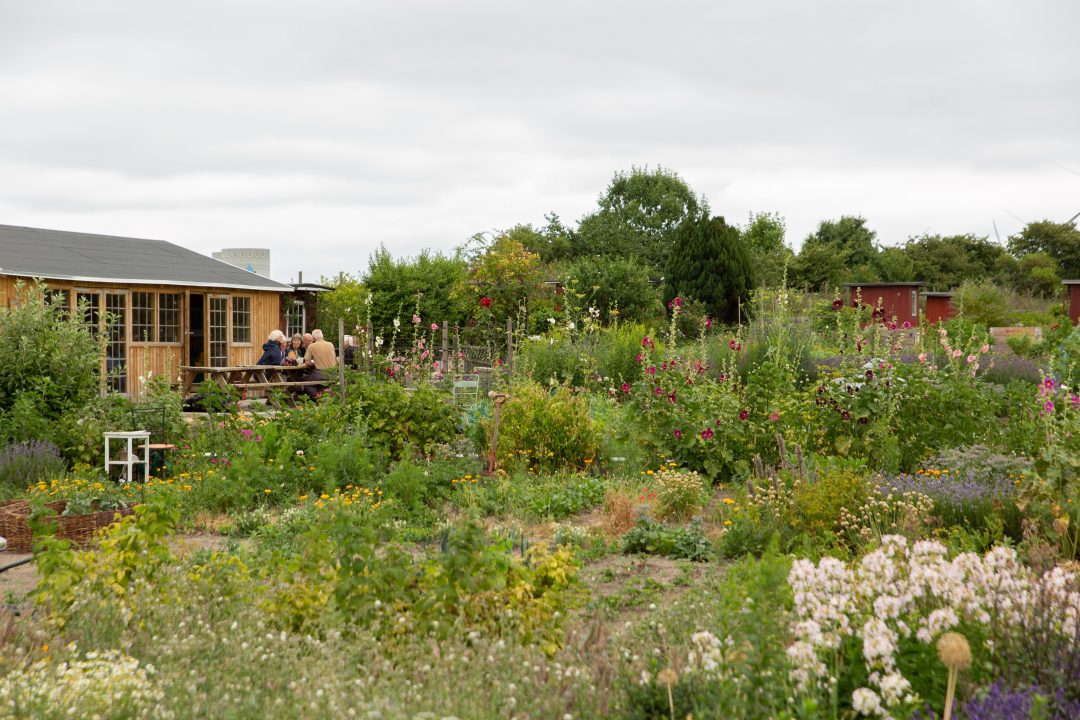 Bestyrelse i nyttehaveforening