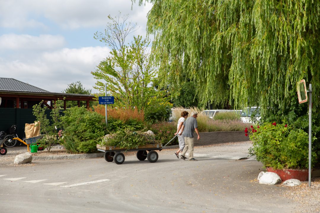 To medlemmer, trækvogn, afklip fra haven