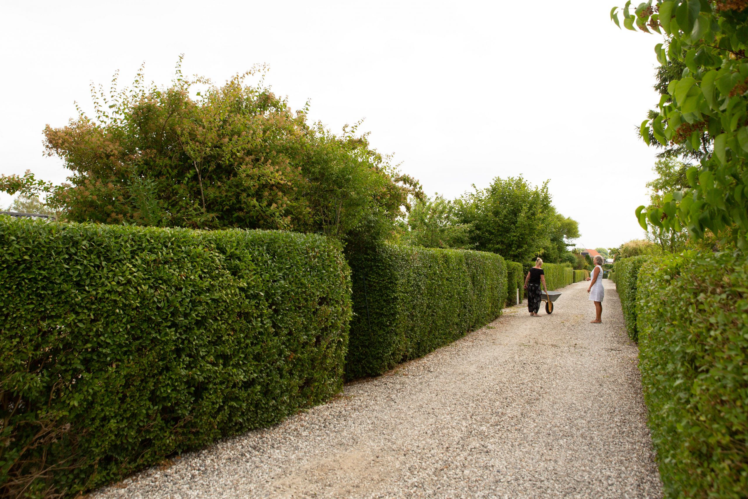 Havegang, to medlemmer