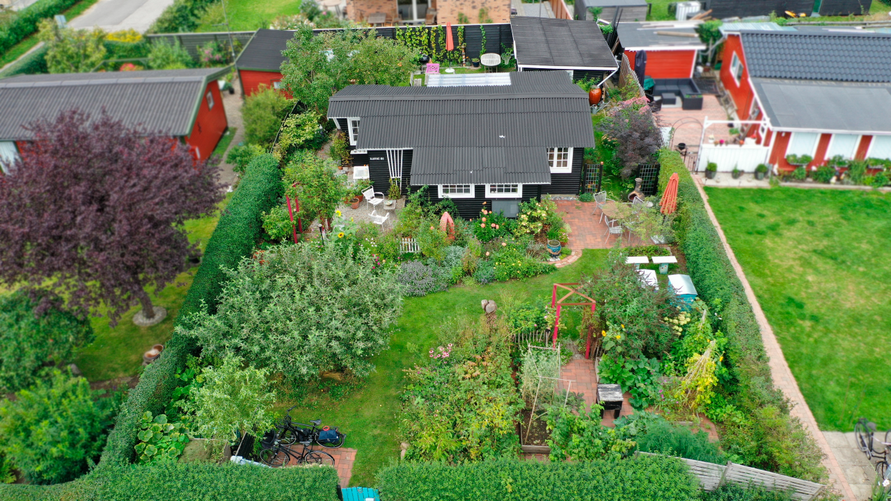 Kolonihave, drone, fugleperspektiv