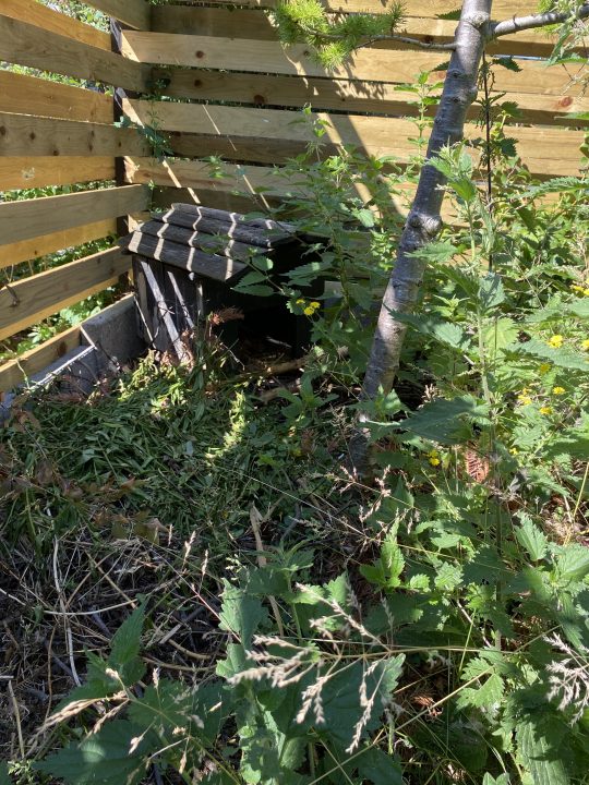 dyrehotel,vild have,kolonihave