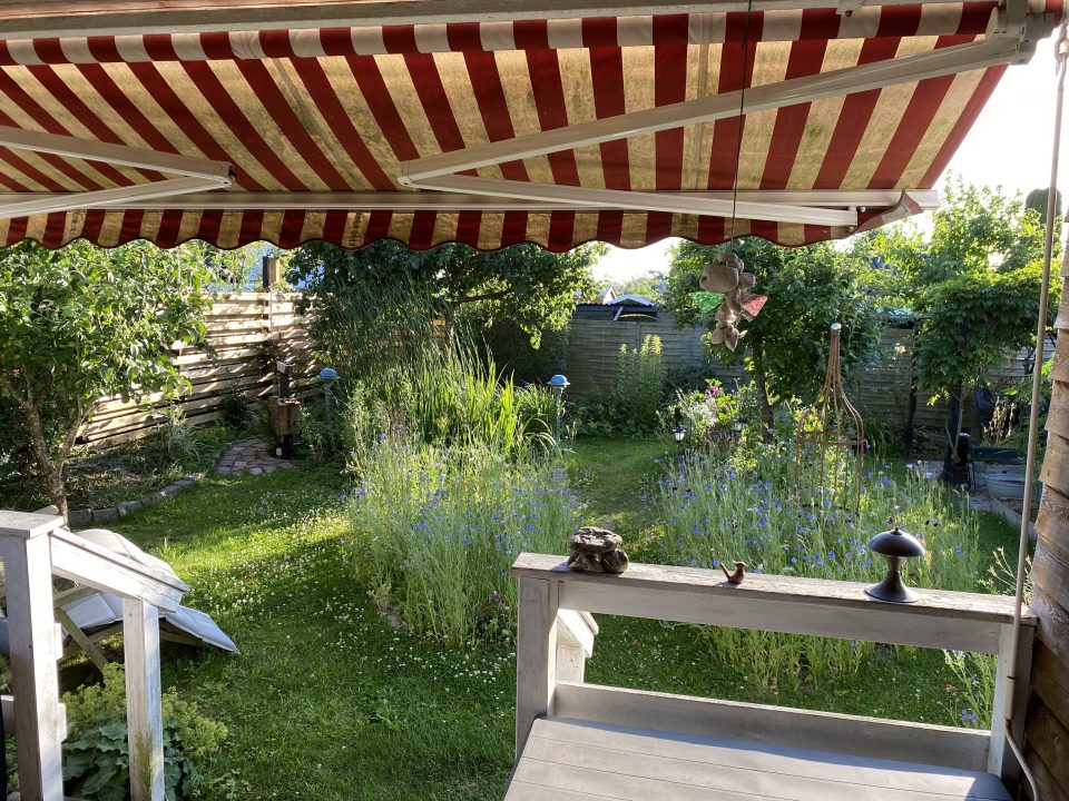 terrasse,kolonihave,bed med vilde blomster