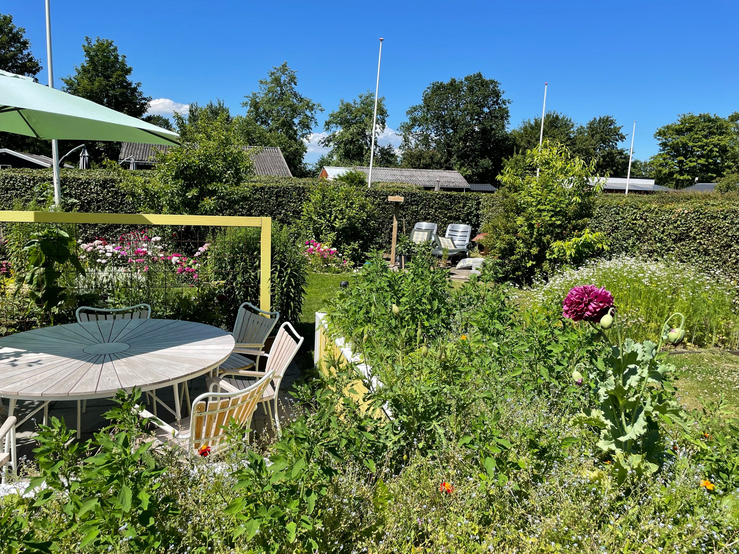 Terrasse,højbed,kolonihave,vild med vilje